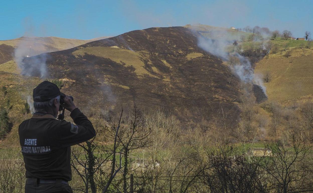 Siguen Activos Cuatro De Los Incendios Forestales Que Disparan La Contaminaci N En Santander